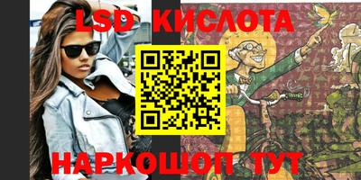 стаф Будённовск