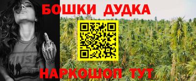 стаф Будённовск