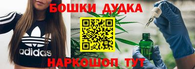 стаф Будённовск