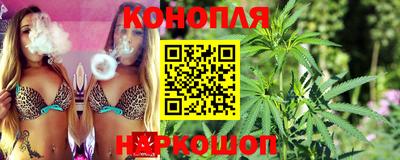 стаф Будённовск