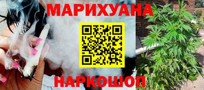 стаф Будённовск