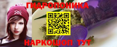стаф Будённовск