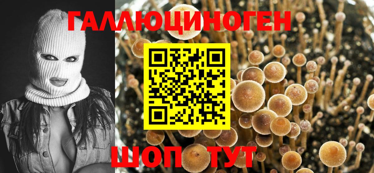 Галлюциногенные грибы Magic Shrooms Тавда
