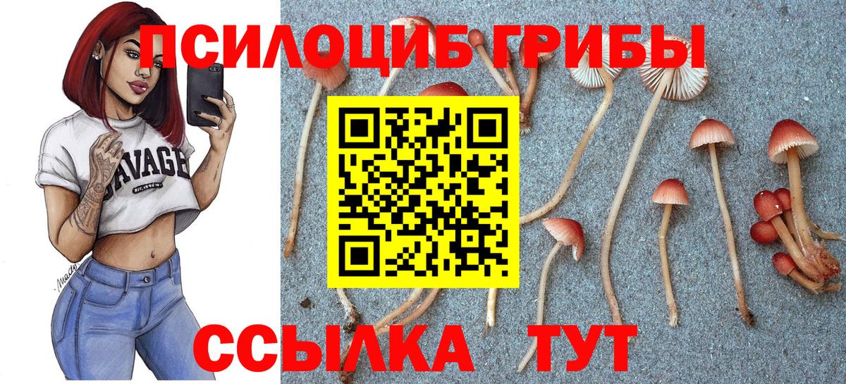 Псилоцибиновые грибы прущие грибы  Вход с VPN  Тавда 