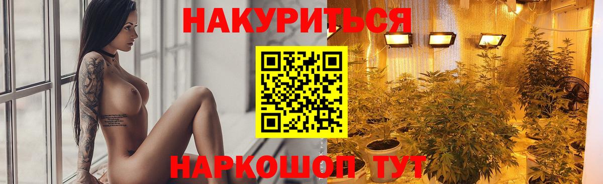 Тавда  Конопля OG Kush  Вход с VPN  Конопля план  Шишки марихуана марихуана 